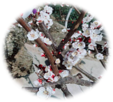 2018030716014601.png 图片1.png